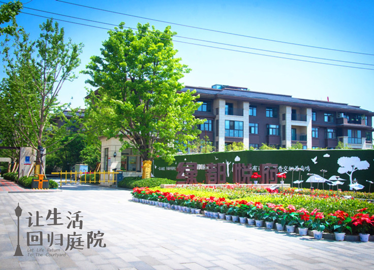 前后张望南阳50年：这样的庭院，，，，，，，很难再有了！