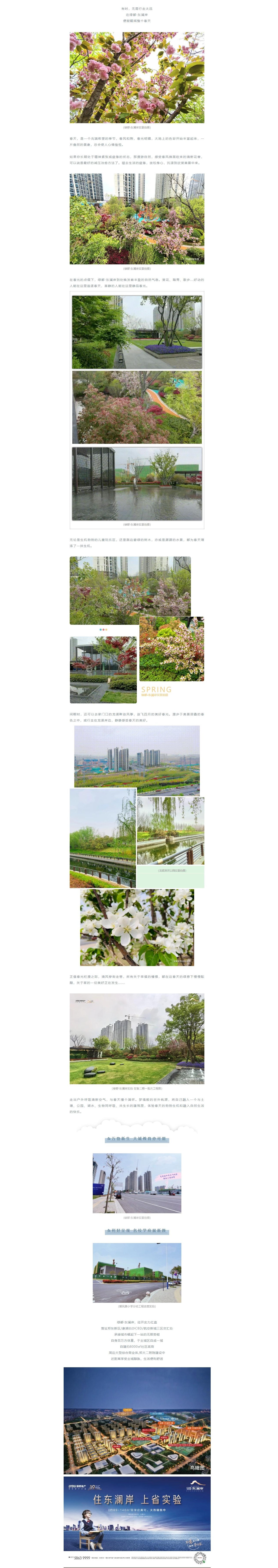 赏花踏青，，，，，来一场和春天的约会