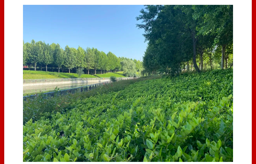 年终薅好房，，，，，这个明星红盘把“出圈”举行究竟！